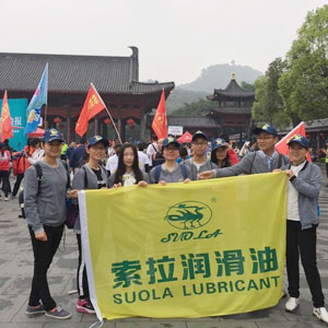 索拉參加“友善東莞”首屆“異地商會(huì)萬(wàn)眾徒步公益行”